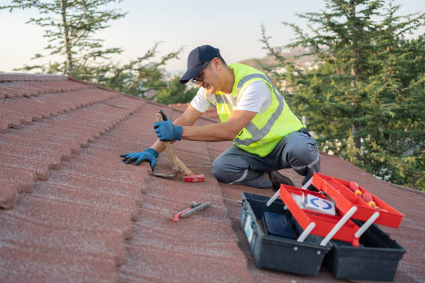 Best Metal Roofing Contractor  in Schaumburg, IL